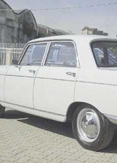 Riparazione Auto Grandinate